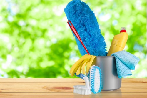 Professional cleaners introducing their Brixton cleaning service