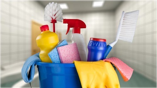 Brixton cleaning service team maintaining a fresh, tidy environment