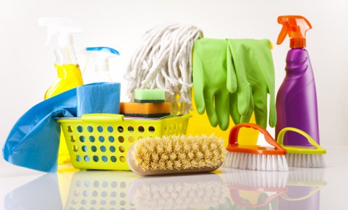 Accessibility statement illustration for a Brixton cleaning service website