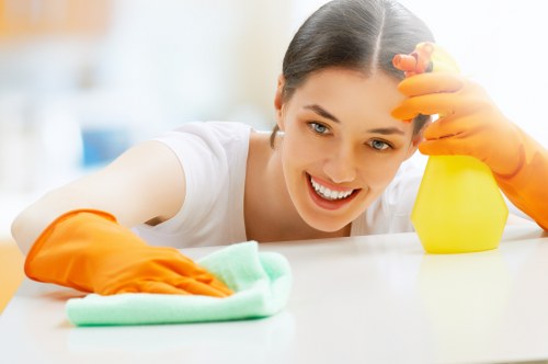 Risk assessment process for safe cleaning in Brixton properties