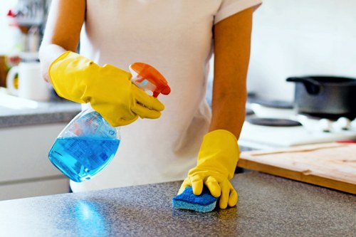 Screen-reader friendly website accessibility concept for local cleaning services