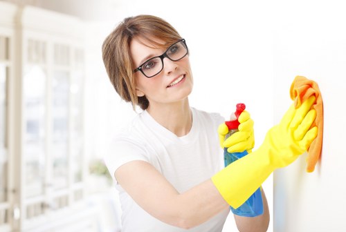 Accessible Brixton cleaning information for all users