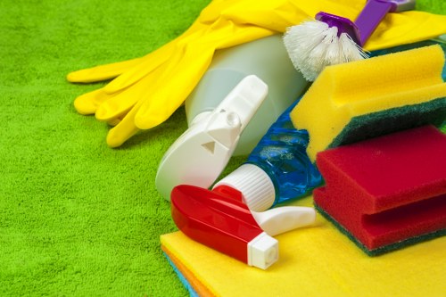 Domestic cleaning support for Brixton households