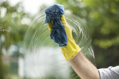 Exterior window cleaning service for a Brixton property with clear glass and neat frames