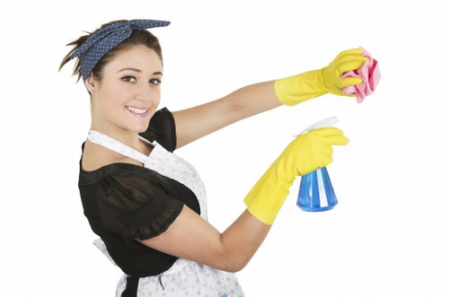 Kitchen and bathroom cleaning in a Brixton flat